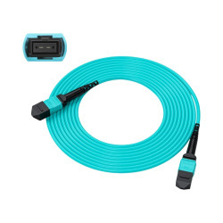 OTECH MPO 12F OM3 LSZH 10 Meter Multi-Mode 40G/100G/400G Fiber Patch Cord