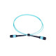 OTECH MPO 12C OM3 LSZH 1 Meter Multi-Mode 40G/100G Fiber Patch Cord