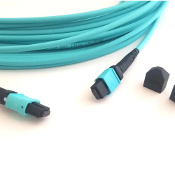 OTECH MPO 12C OM3 LSZH 5 Meter Multi-Mode 40G/100G Fiber Patch Cord	 OTECH MPO 12C OM3 LSZH 5 Meter Multi-Mode 40G/100G Fiber Patch Cord